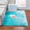 1pc Fluffy Imitation Wool Area Rug, Suede Fleece Bottom Long Imitation Wool Rug, Acrylic 80% Polyester 20%, 2.36inch Long Wool, Living Room Bedroom Ru